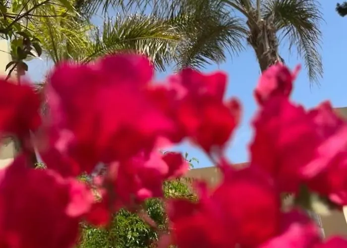 Luxueuse villa Proche Agadir et Taroudant pour 6 pers Piscine Privée sans vis à vis